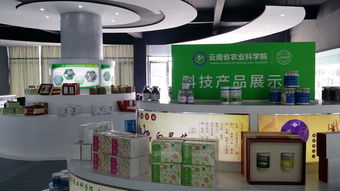 云南省農業科學院科技產品電子商務營銷中心成立，開啟智慧農業新篇章